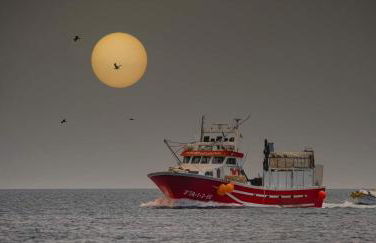 AYAHAY, Modern luxury apartment just 50 m from Playa Del Puerto - Foto 14