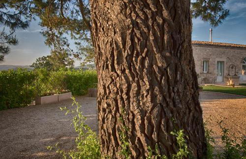 Villa Santa Margherita - Foto 70