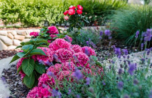 Letj Ferhaaling - Foto 38