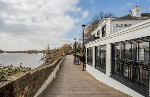 The Urban Green! Cosy luxury apartment in Chiswick - Foto 59