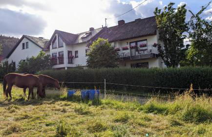 Weingut Harald Ludwig - Foto 9