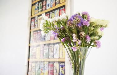 Entres dos paraísos: Zahara de los Atunes y Tarifa - Foto 28