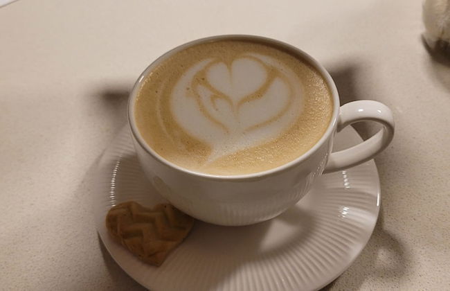 EDIFICIO FENICIA - Foto 34