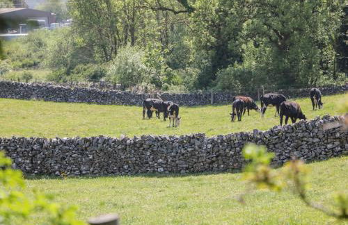 Shenton Terrace - Photo 32