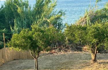 HIDE by the Sea - Foto 24