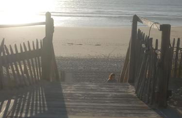 Cosy ZEN des SABLES avec Wifi-Ocean à 500m - Foto 27