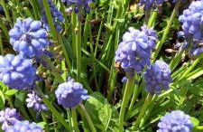 Casa Vacanze Principesca - Foto 18