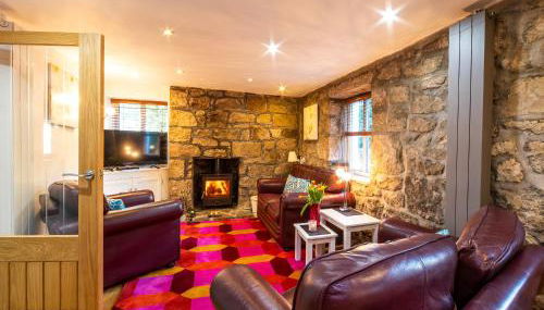 Foxes Reach - Hw7421 - Foto 2