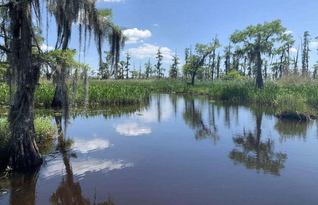 Paseo en barco por la Reserva de Barataria - Foto 1