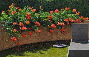 Mas Saint Jean - Foto 30