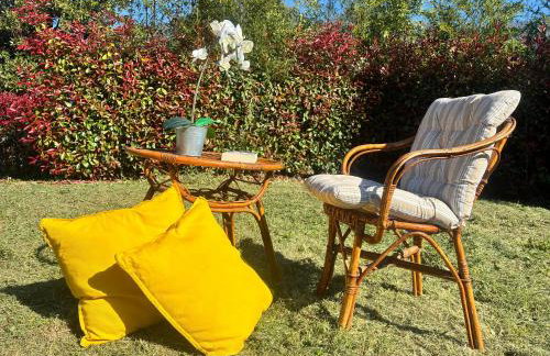 Il gatto e la volpe 1 - Foto 46