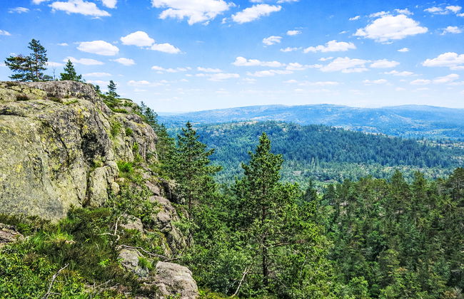 Fjellidyll - Foto 24