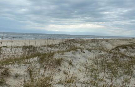 Shores Heaven - Foto 8