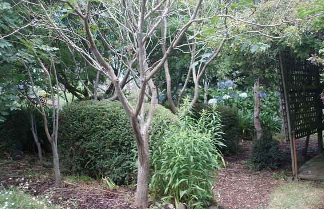 Boat Harbour Garden Cottages - Foto 31