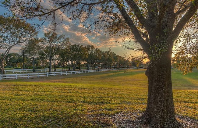 2 Room PGA Village Golf Villa Suite by Clubhouse - Photo 9