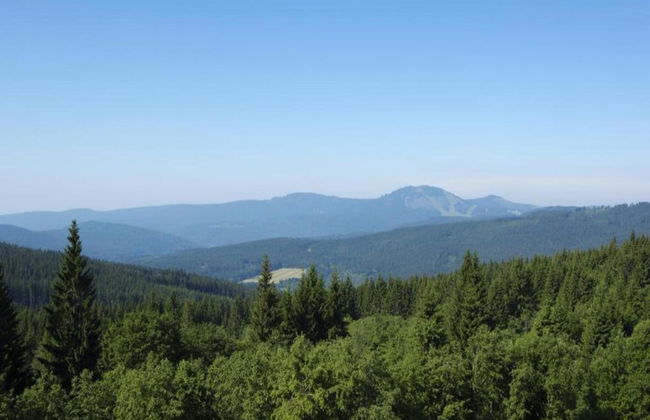 Cozy Forest Adventure Stay - Foto 43