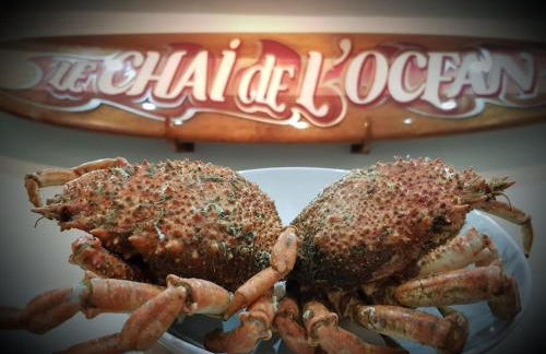 Le Chai de l'Océan -Maison plage à 300m - Jardin Terrasse - Foto 24