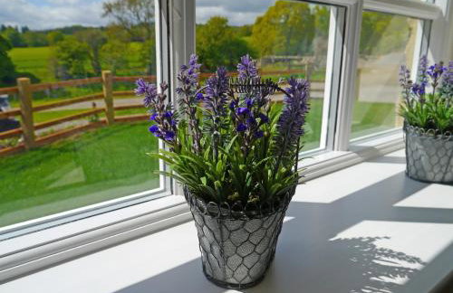 Brooksides Byre Durham Country Cottage - Photo 23