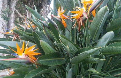 Puu Poa Ocean Bluff Condo, Incredible Views, Walk to Beaches, Pool & Tennis - Foto 36