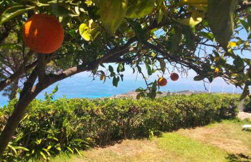 Casa Morello - Foto 21