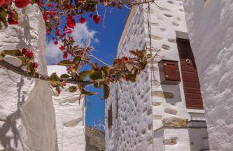 Fimaira 2 - Photo 54