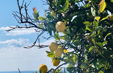 Cav Gli Ulivi di Bogliasco parcheggio privato gratuito - Foto 54