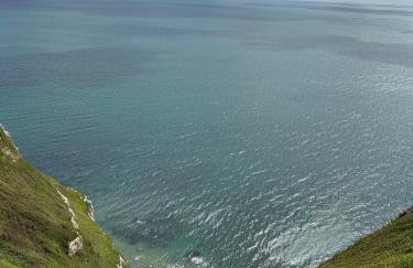 Nutshell Cottage - Foto 34