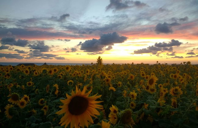 Beili Glas Cottage - Photo 16