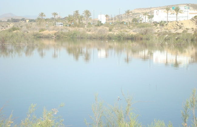 Charming Vacation Rental in Vera Spain Ideal Retreat for Families and Pet Lover - Foto 19