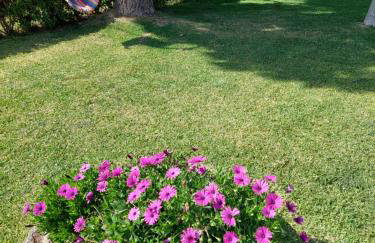 Platanidia Apartment Pelion - Foto 17