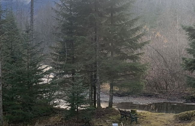 Bear Bottoms at Salmon Creek - Foto 23