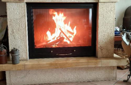 Mi Limón mi limonero - Foto 3