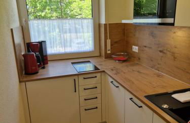 Haus am Mühlenweg - modern und lichtdurchflutet - Foto 25