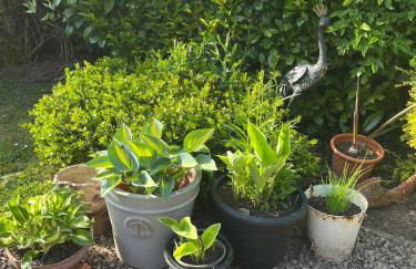 Hanley Swan, The Garden Flat - Foto 6