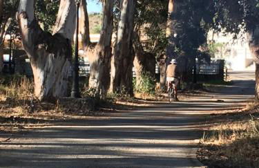 Molino El Mastral - Photo 34