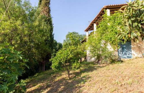 Villa with private garden - Foto 9
