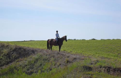 Ferienhaus in der Naehe der Ostsee - Foto 50