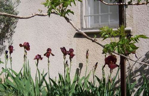OUSTAOU DU GAYET gîte de charme avec piscine privée - Foto 31