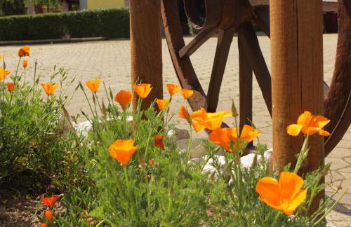 Quinta Sobral Prestige - Rustic House - Photo 24