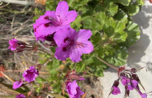 Casa La Brisa - Foto 30