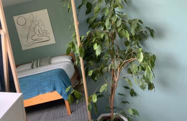 Little Chi - Photo 18