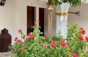 El Molino de La Quinta - Photo 13