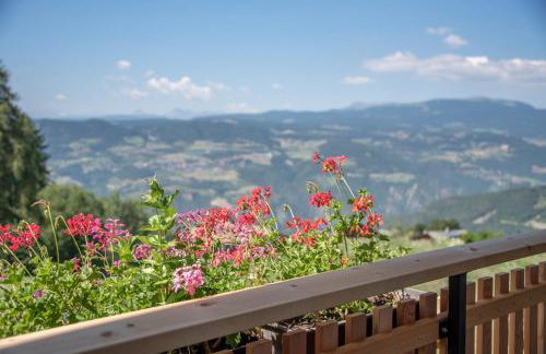 Furnerhof Apt Stearnzauber - Foto 13