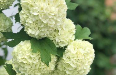 Apartment Majetić - Foto 13