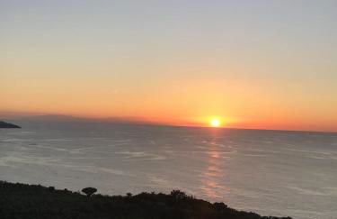 Finca Casa Madera 2 - Foto 33