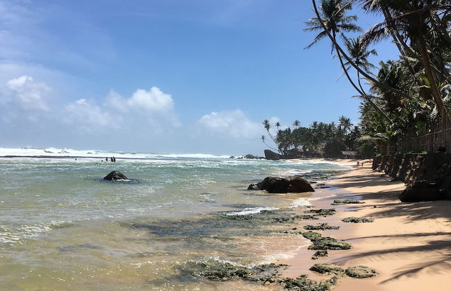 Coconut Treehouse - Foto 20