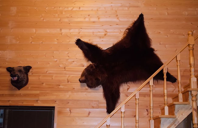 Woods Lake Resort - Foto 19