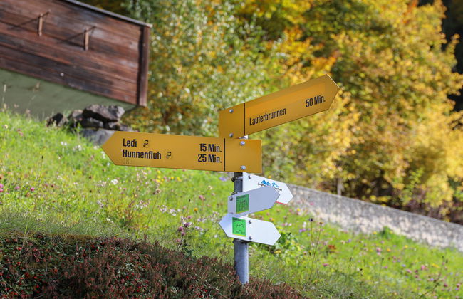 Helene Studio Christel - Foto 19