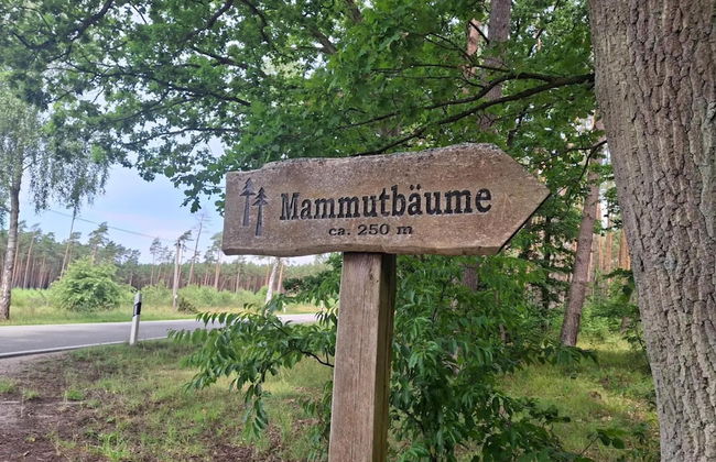 Chalet in Wendorf - Foto 33