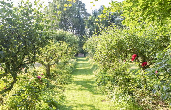 Orion 4-person Stunning Lotus Belle Tent - Foto 8